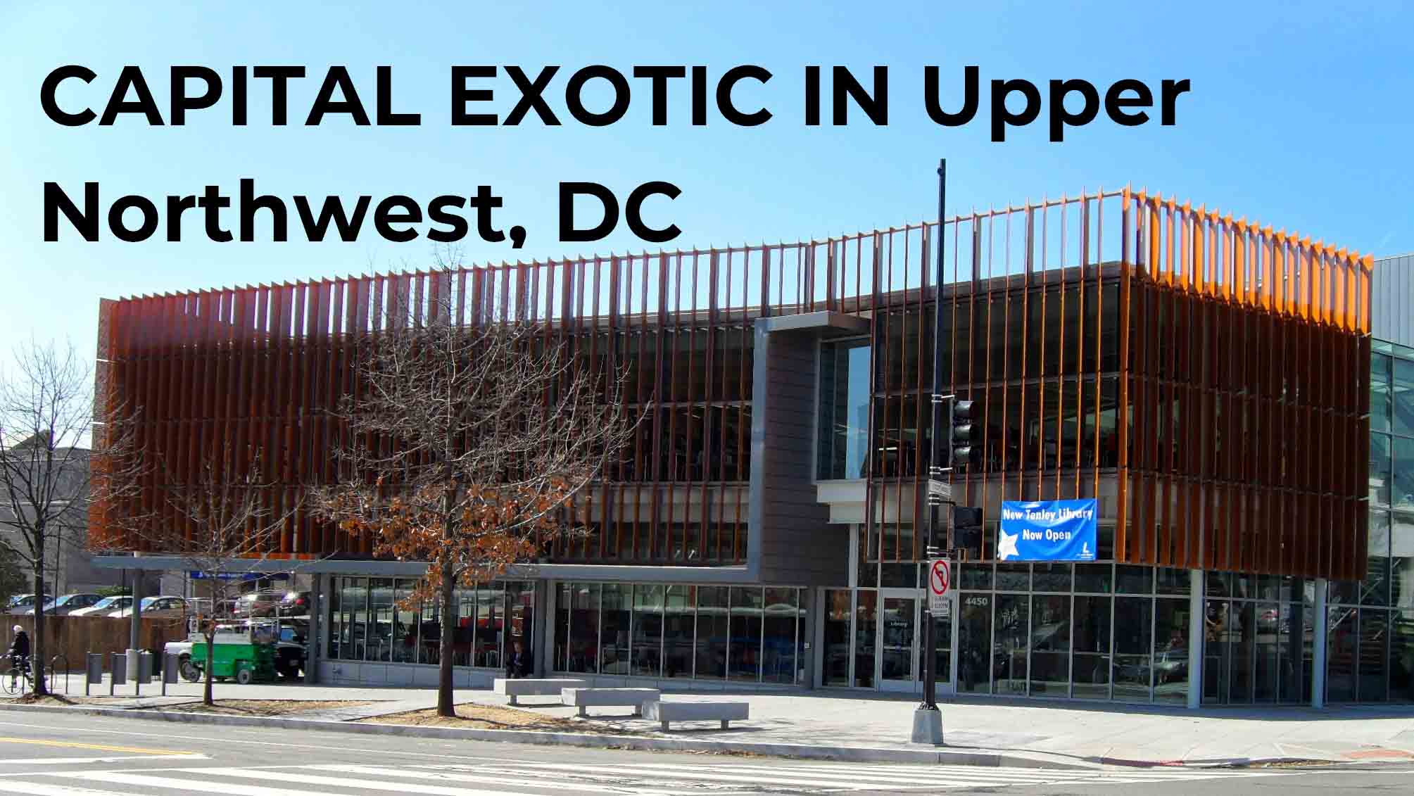 Upper Northwest Washington DC Car Rental Luxury Services