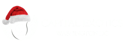 #1 Exotic Car rental | Capital Exotic in DC, MD ,VA