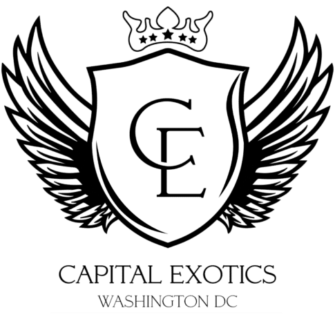 G-Wagon Transport | Car Rental Washington DC | Capital Exotic