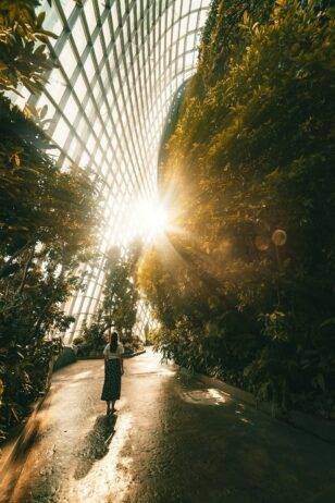 Botanical Garden in Washington DC