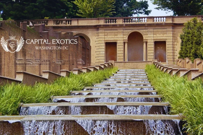 The Meridian Hill Park