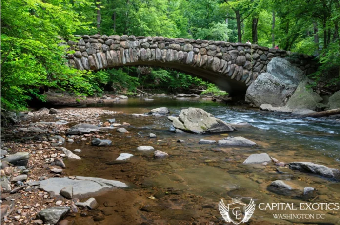 Rock Creek Park