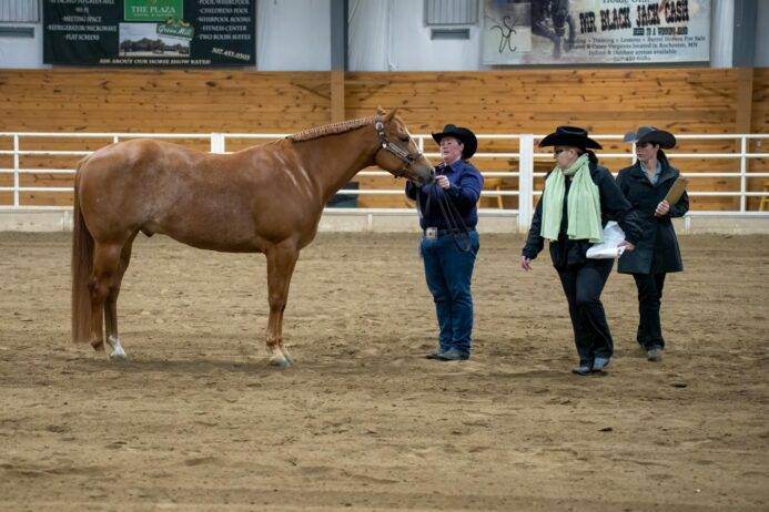 Virginia's Horse Shows