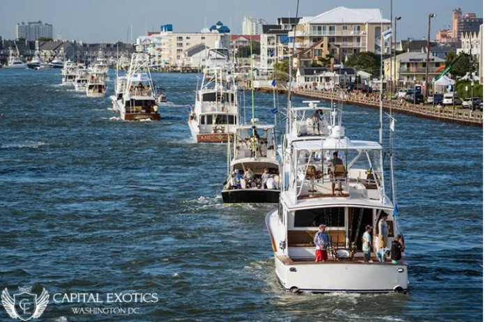 White Marlin Open is one of the coolest events and festivales in Maryland