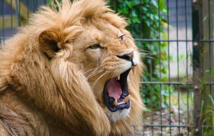 Smithsonian National Zoo