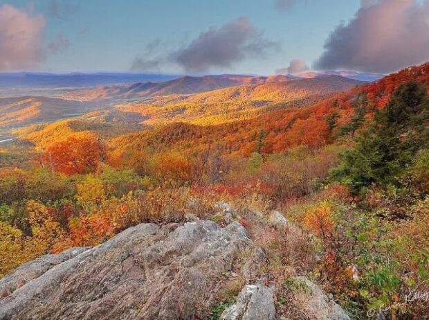 fall in Virginia