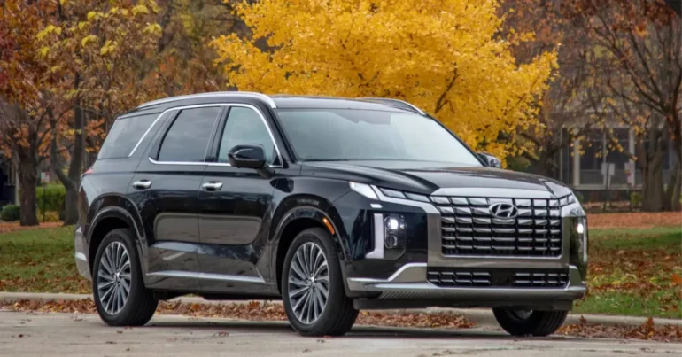 Hyundai Palisade Calligraphy